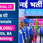 Vishal Mega Mart Latest Vacancy 2025: विशाल मेगा मार्ट में 200 प्राइवेट पोस्ट पर भर्ती | 10वीं–12वीं पास करें आवेदन